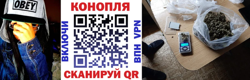 Продажа наркотиков Борзя Альфа ПВП  МЕФ  ГАШИШ  гидра вход  Кокаин  МАРИХУАНА 