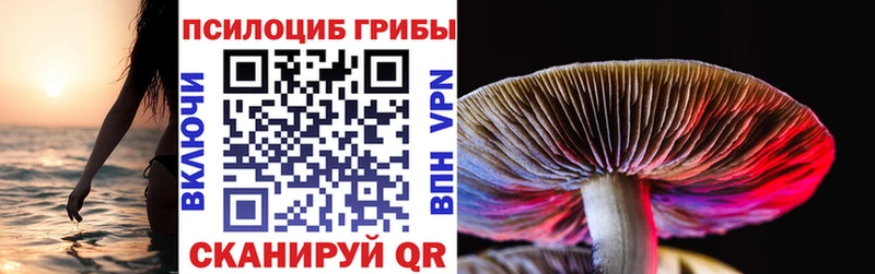 Псилоцибиновые грибы GOLDEN TEACHER  наркотики  площадка клад  Борзя 